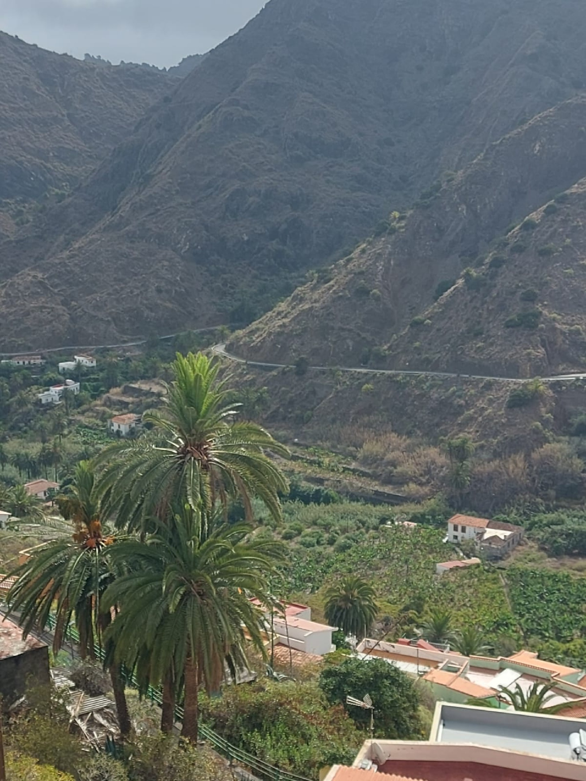 VENTA DE CASA Y SOLAR EN ZONA LOMO DE SAN PEDRO. HERMIGUA. LA GOMERA.