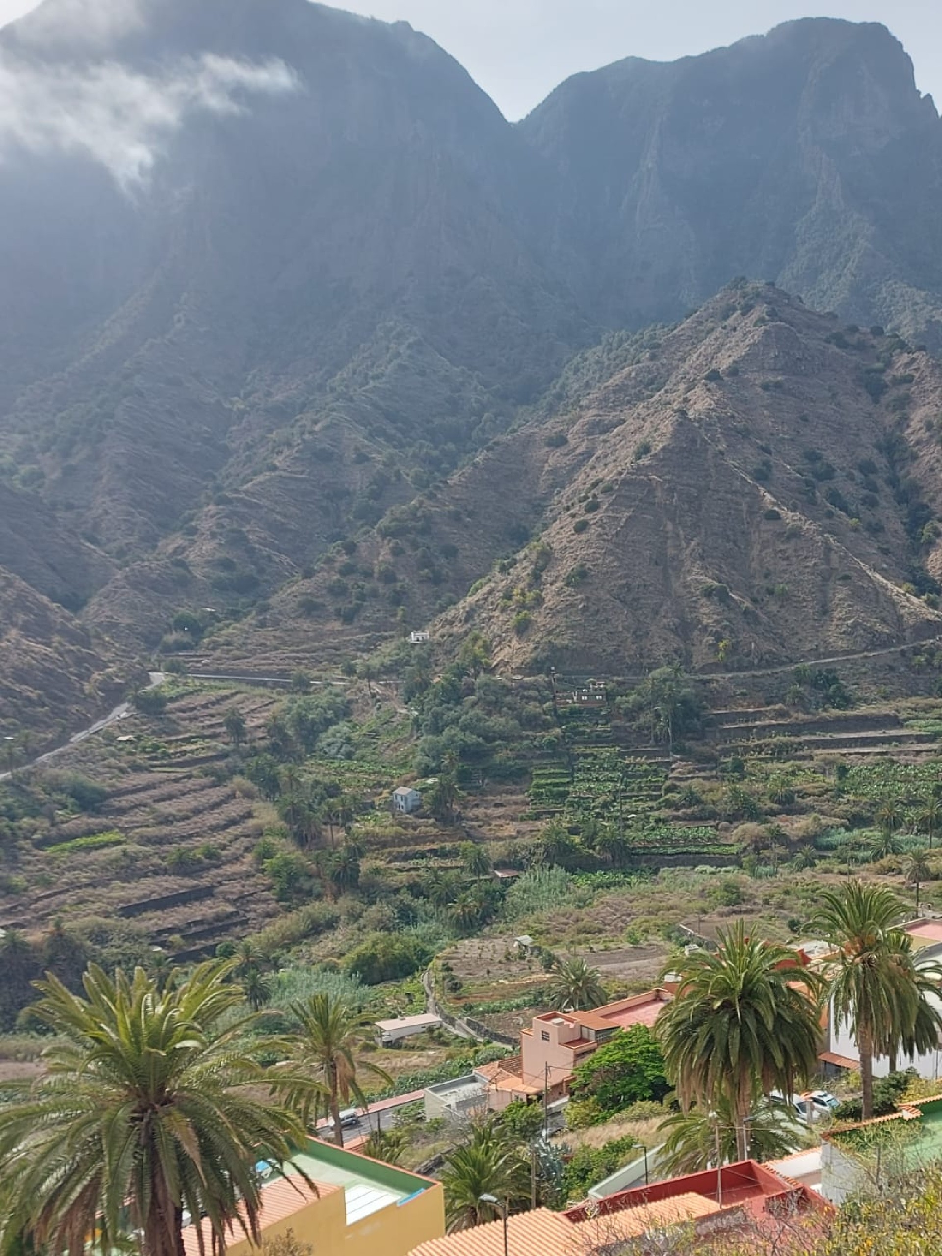 VENTA DE CASA Y SOLAR EN ZONA LOMO DE SAN PEDRO. HERMIGUA. LA GOMERA.