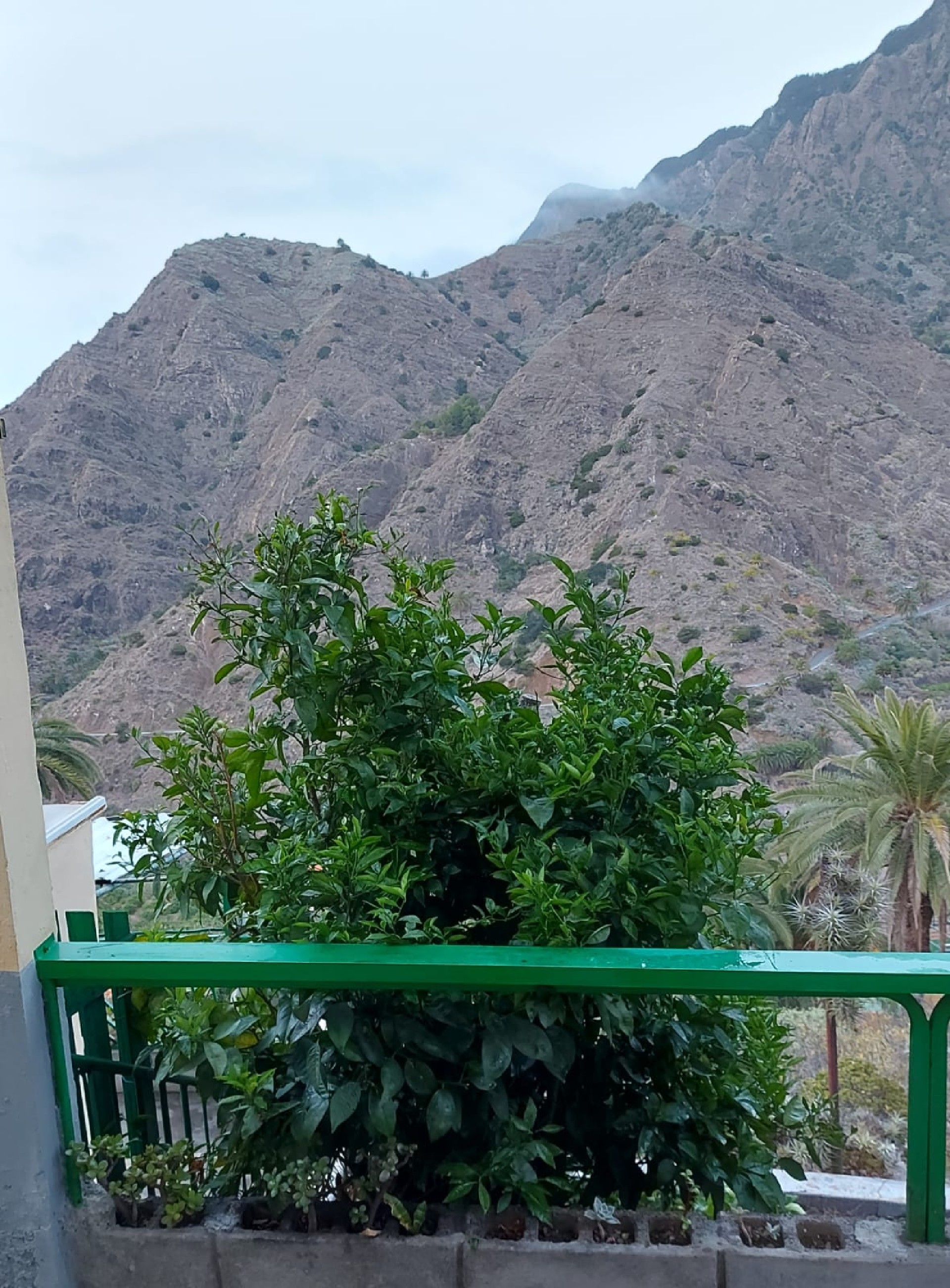 VENTA DE CASA Y SOLAR EN ZONA LOMO DE SAN PEDRO. HERMIGUA. LA GOMERA.