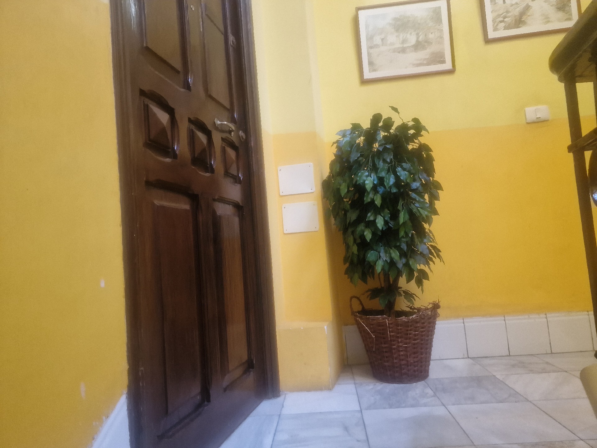 PISO ANTIGUO A 30 METROS DE PLAZA WEYLER